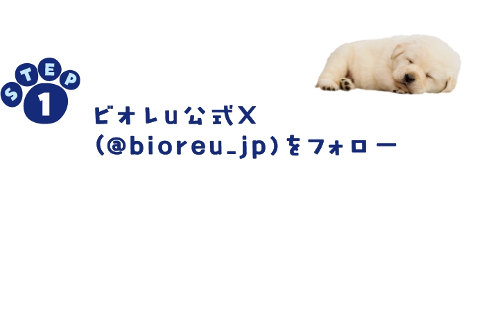 ビオレu公式X（@bioreu_jp）をフォロー