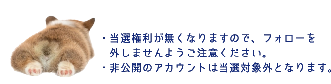 ・当選権利が無くなりますので、フォローを外しませんようご注意ください。・非公開のアカウントは当選対象外となります。