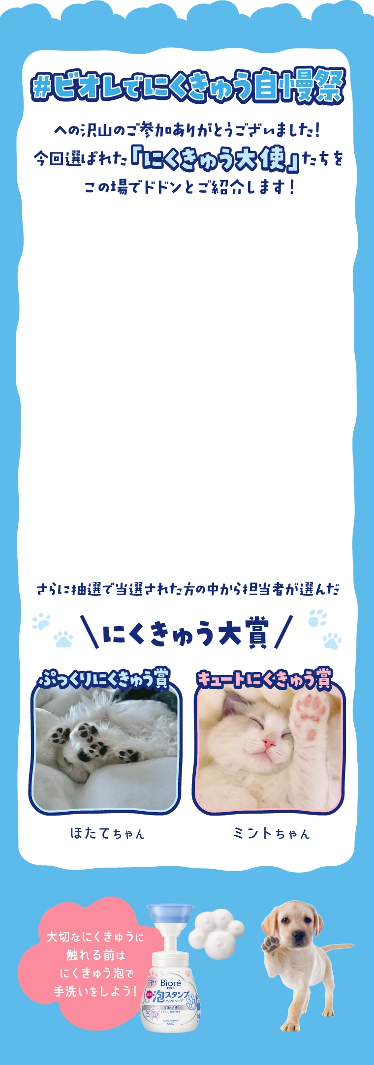 にくきゅう泡で楽しい手洗いをみんなにしてほしいから ビオレでにくきゅう自慢祭を開催します！